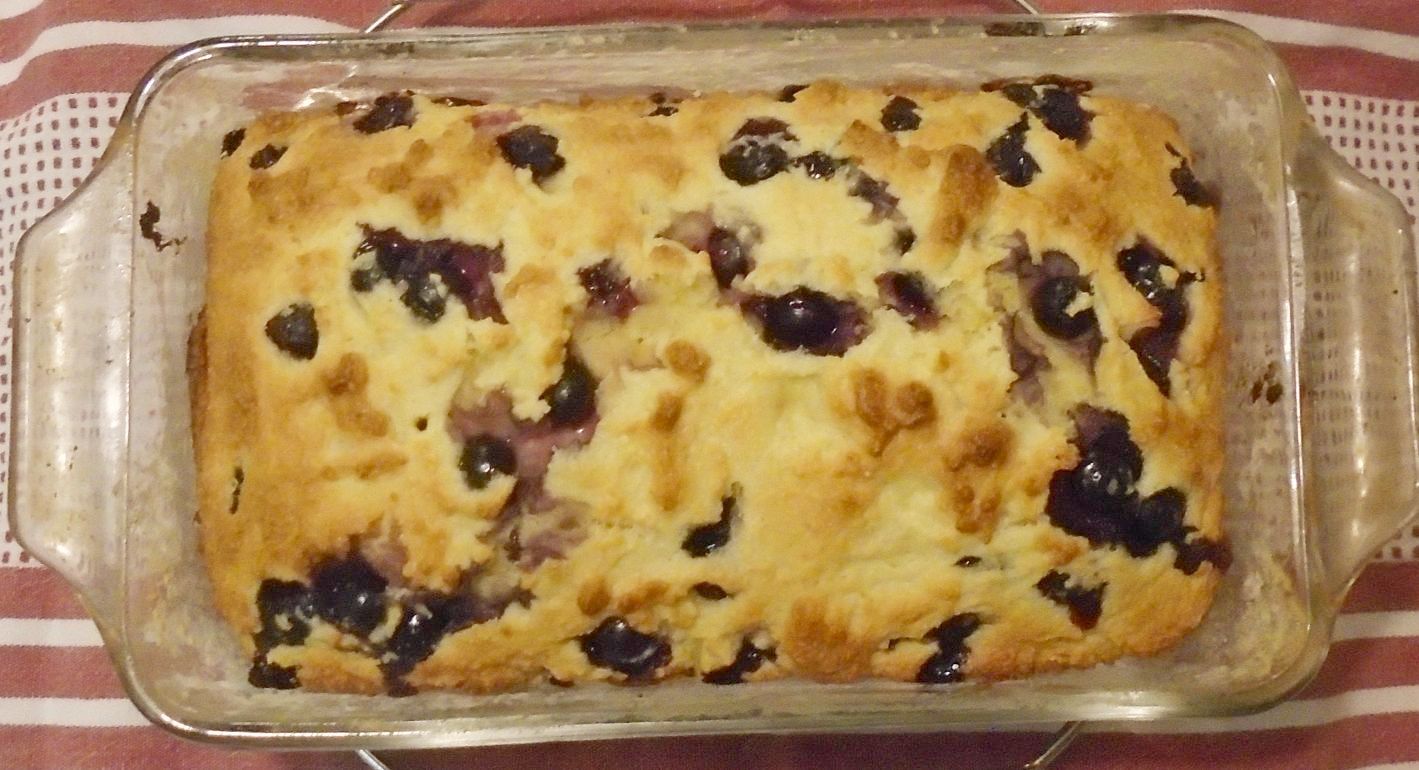blueberrycornbread