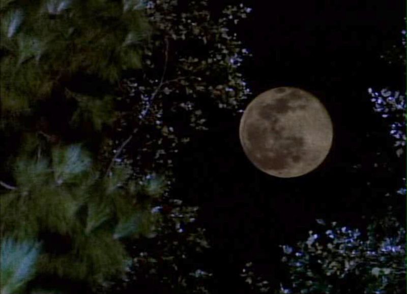moonlight