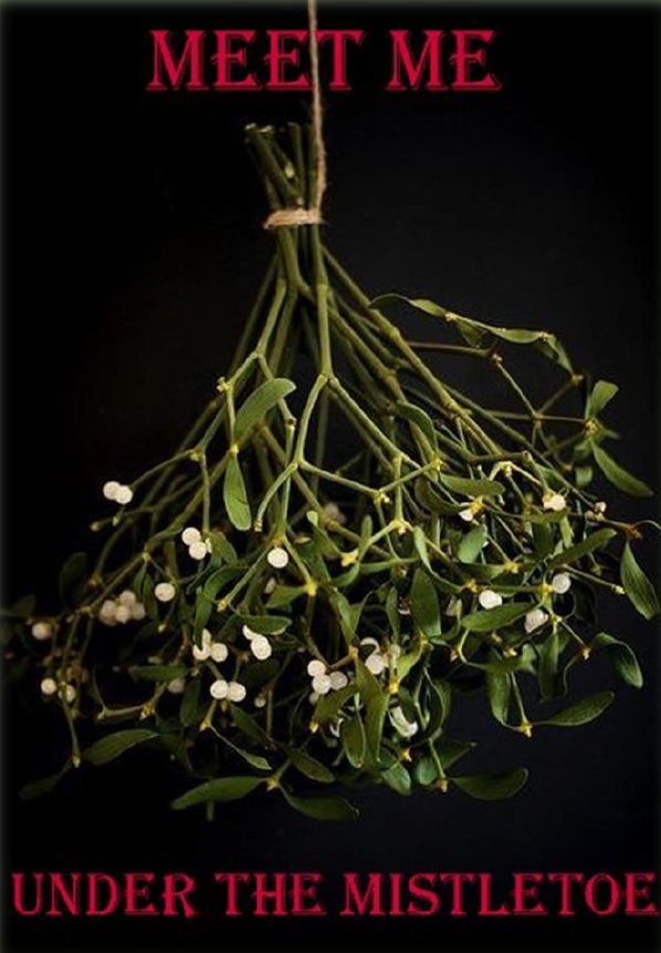 mistletoe