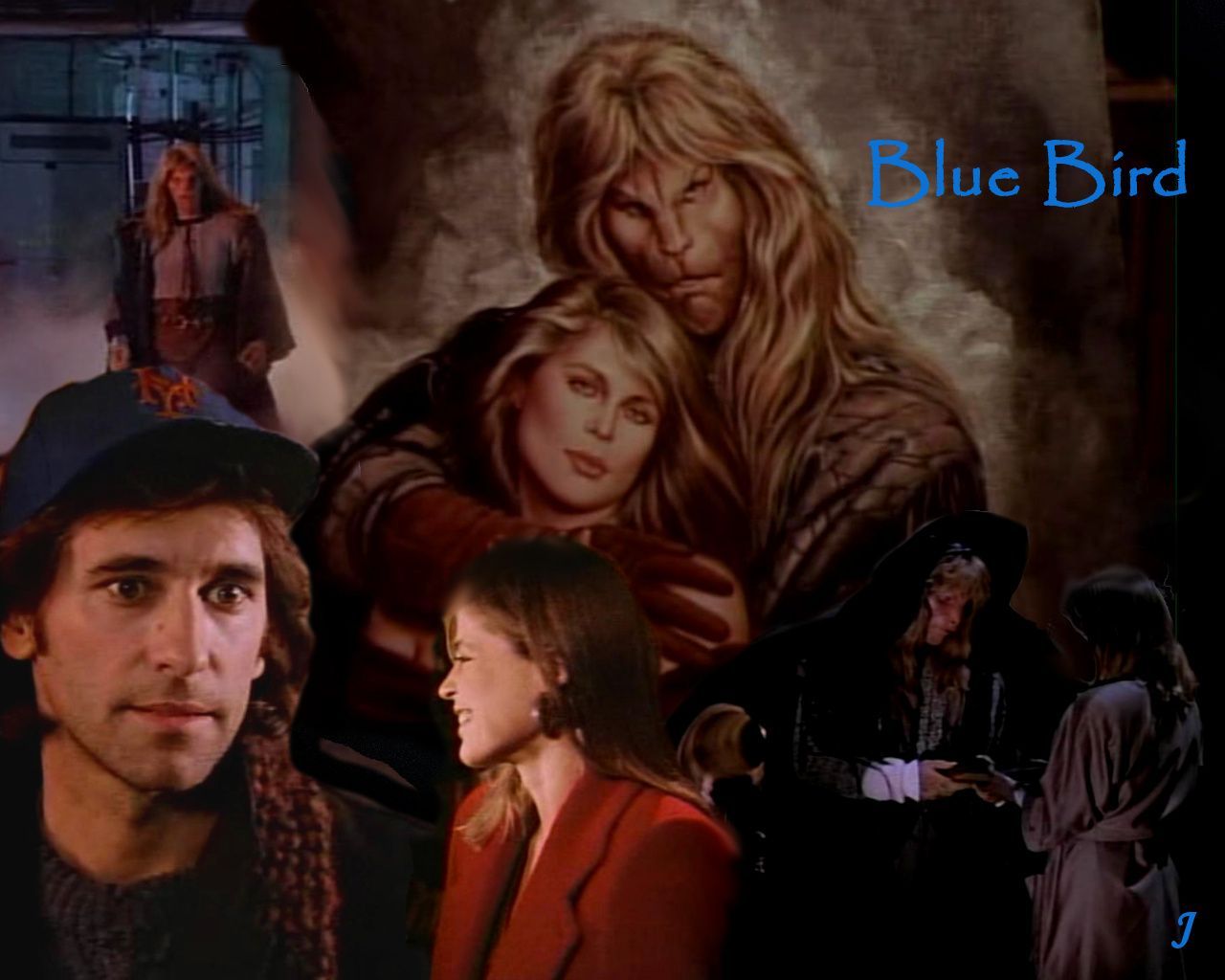 bluebird
