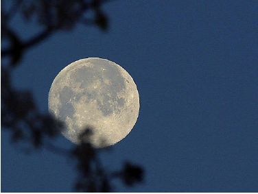 moon