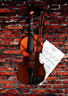 violin
