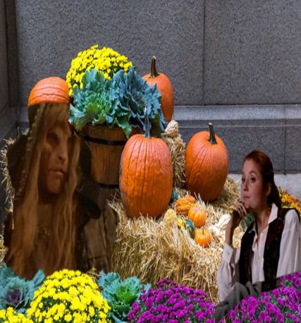 pumpkins